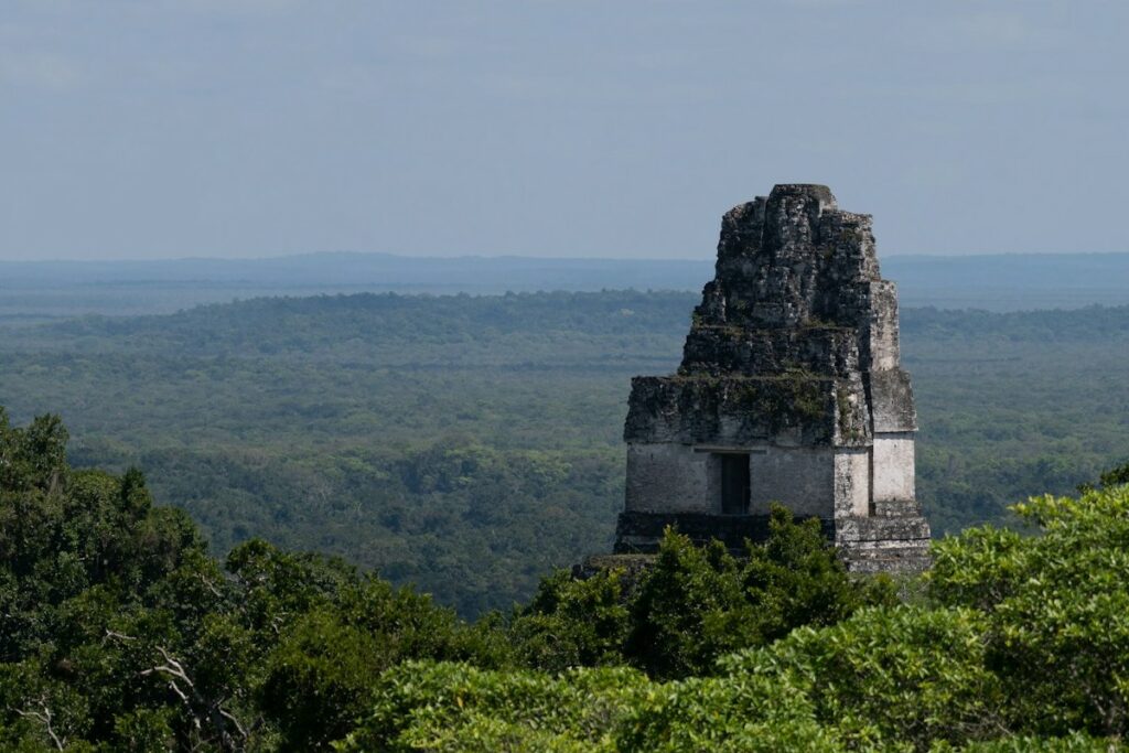Guatemala Regenwald