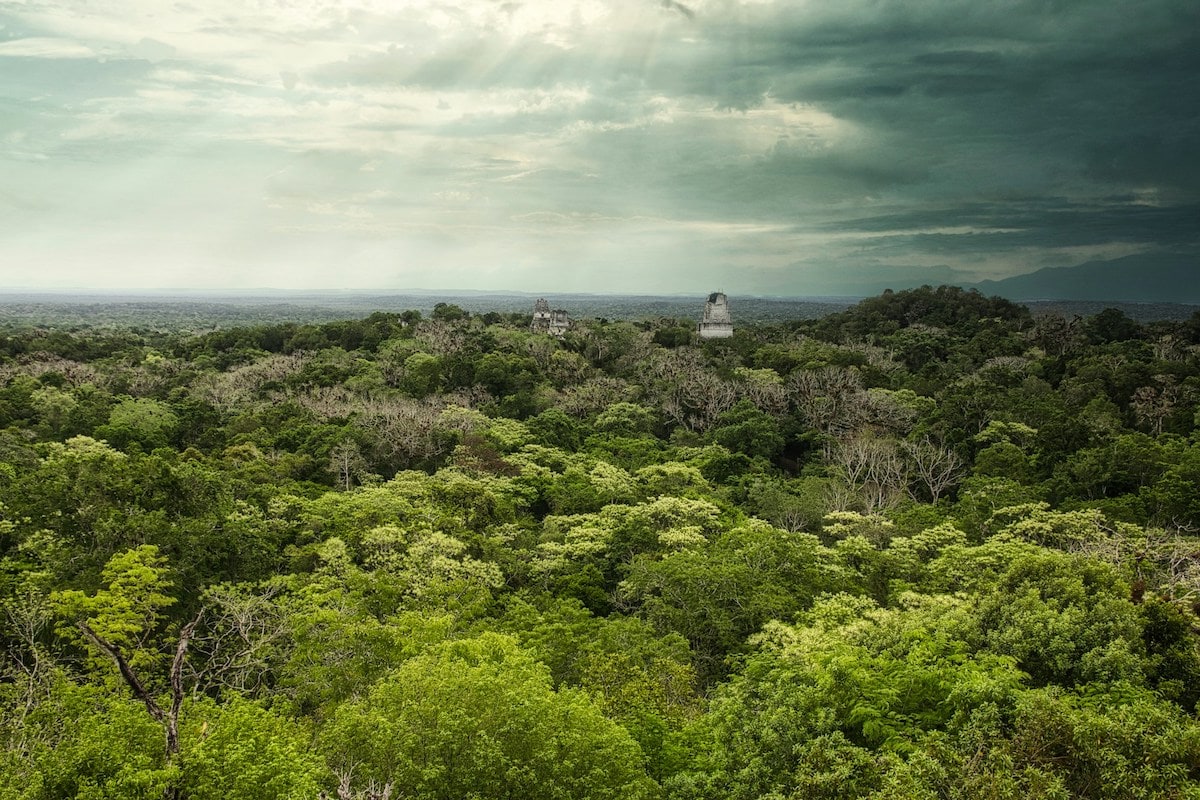 Regenwald Guatemale