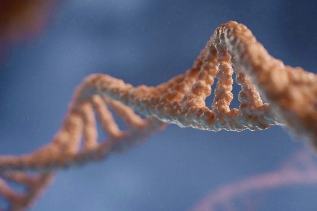 Chromosom 1