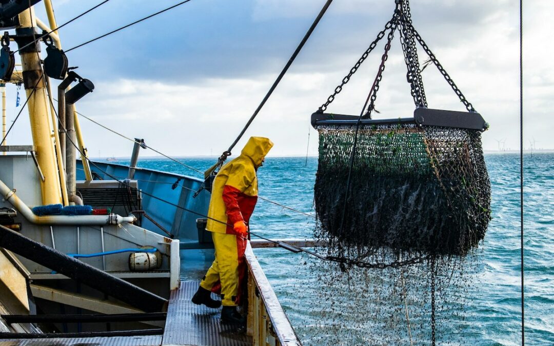 Abkommen für nachhaltige Fischerei, Ozonloch so klein wie nie