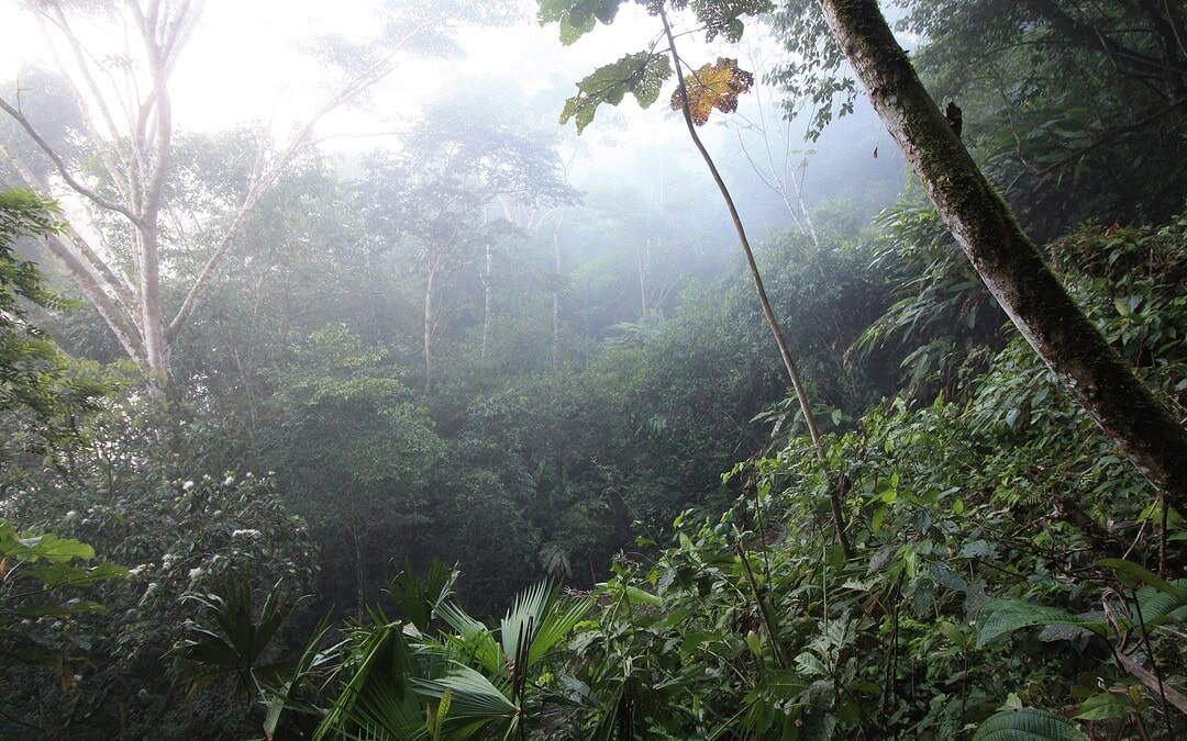 Klimajournalismus: Wichtiger denn je