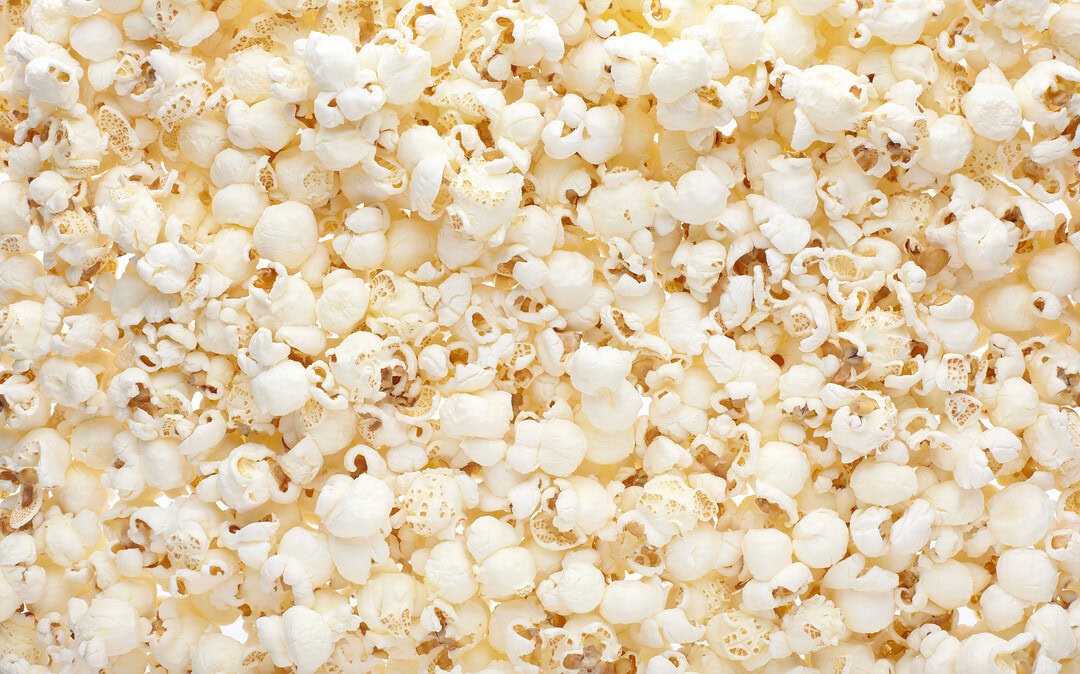 Wohnen in Popcorn, Kaugummis als Grippetest und Pipi auf Pilzen