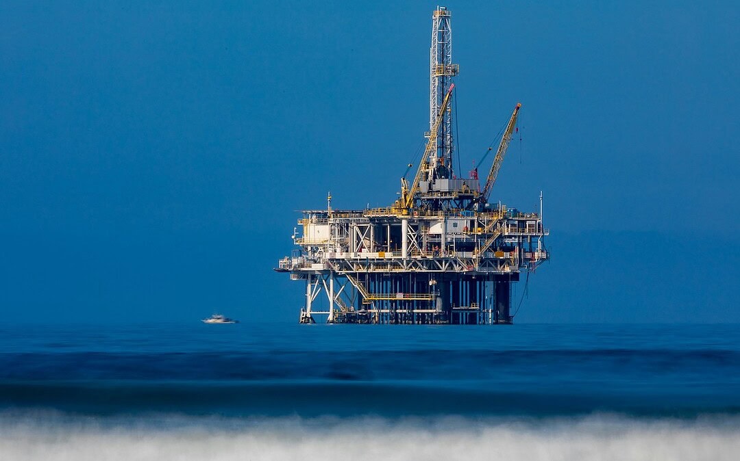 Erstes Greenwashing-Urteil gegen Ölkonzern, Polen verbietet Pelztierzucht