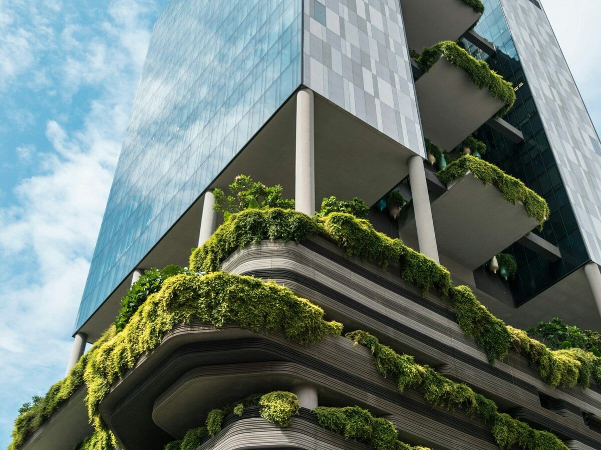 job savelsberg zdMXvYfWX1M unsplash edited scaled