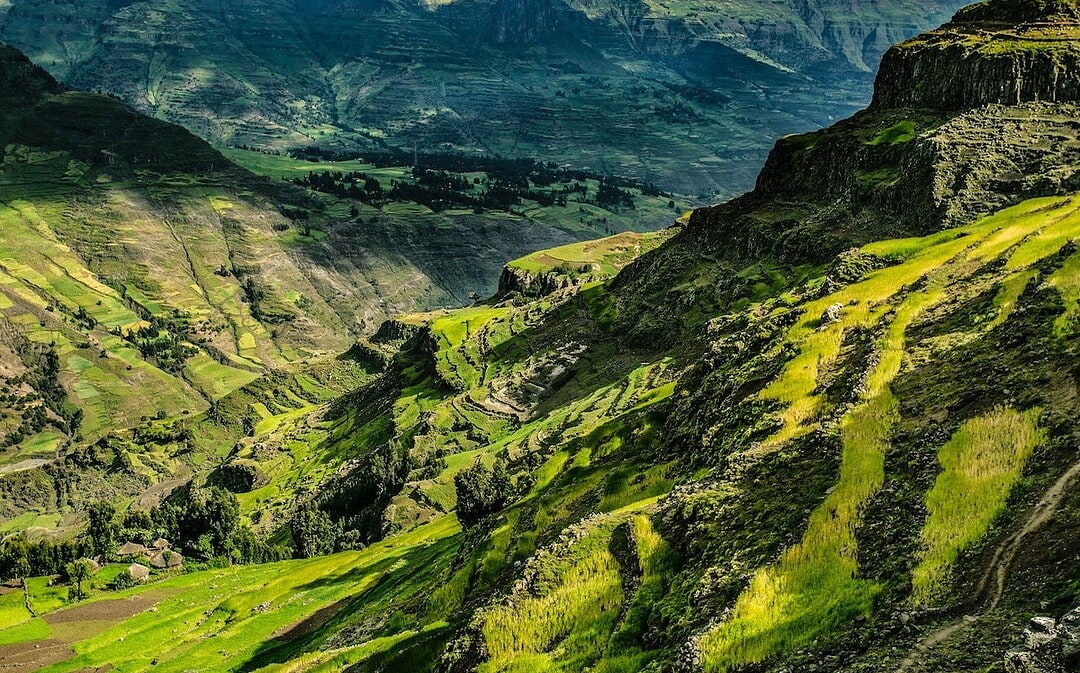 30 Milliarden neue Bäume in Äthiopien, neues Kinderschutz-Konzept