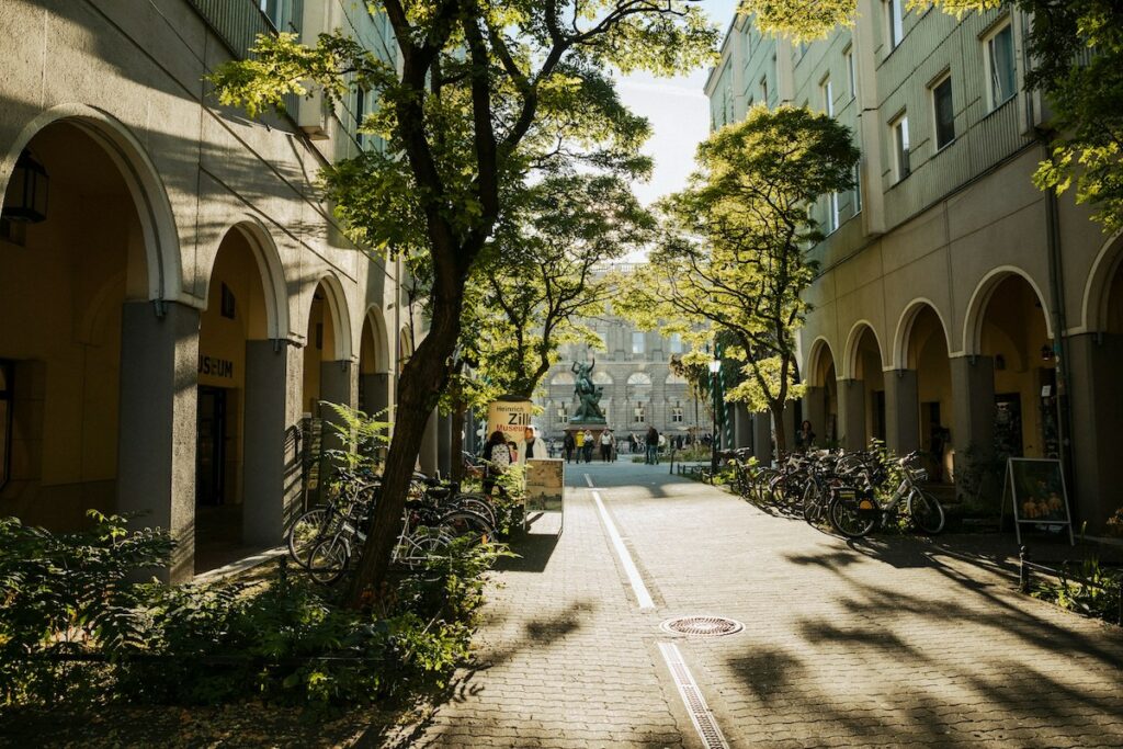 Baeume Berlin Strasse