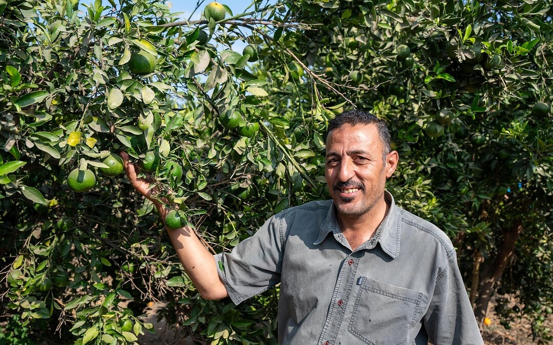 Economy of Love: Wie SEKEM in Ägypten die Wüste begrünt