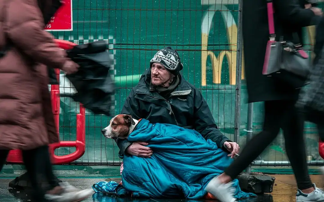 Bankkonten für Obdachlose, Eichelhäher als Förster