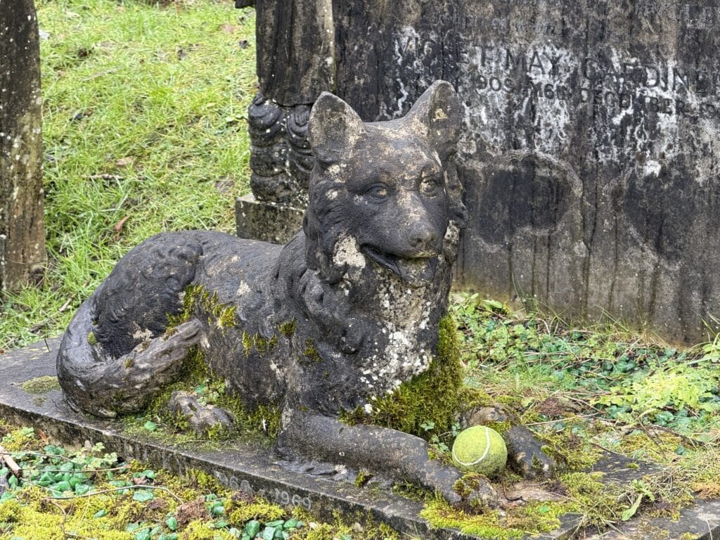 Auch Haustiere betrauern wir. Wir trauern, wenn wir lieben. | Foto: Viktoria Franke