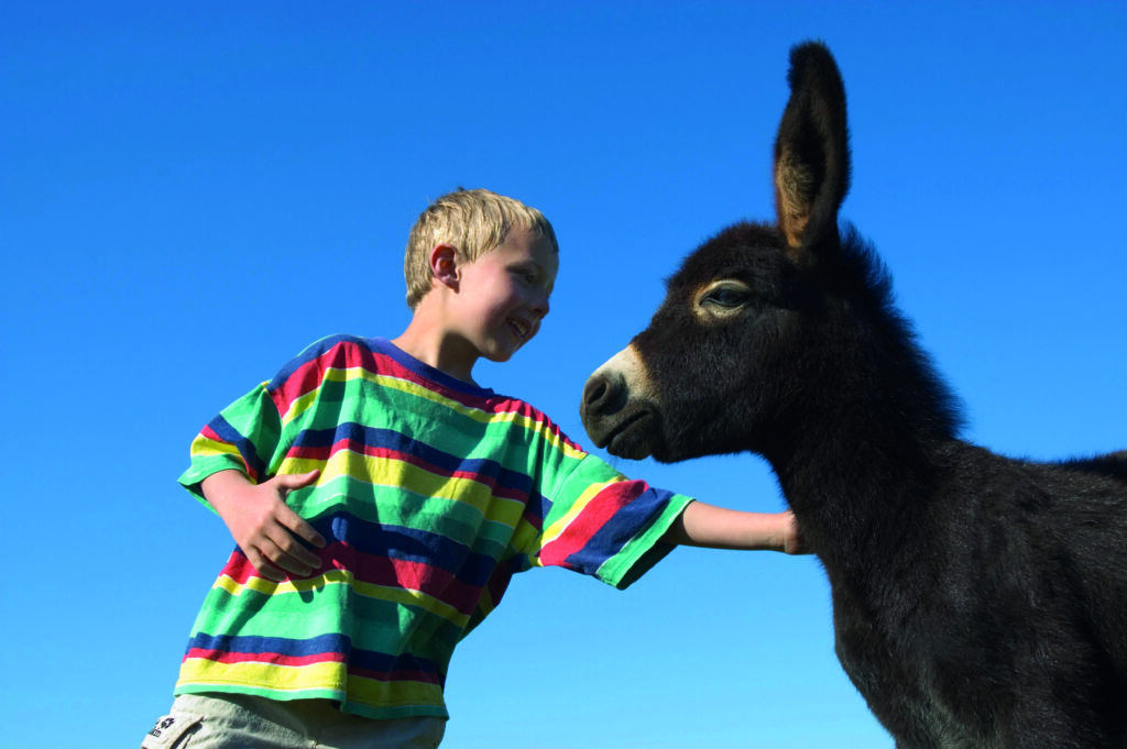 Depositphotos 174340232 XL