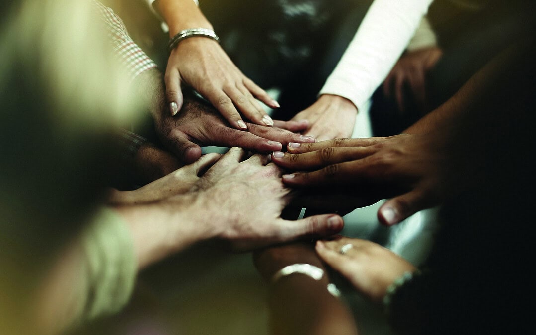 Good News Shots – Unser Best of