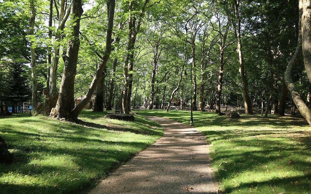 Waldstadt für eine Million Menschen, unbegrenzter Urlaub für Pflegekräfte