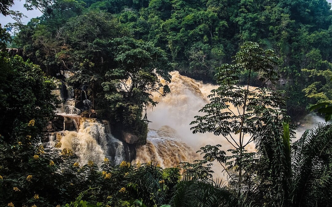 1-Million-Hektar Wildkorridor im Kongo, 400.000 neue Balkonkraftwerke