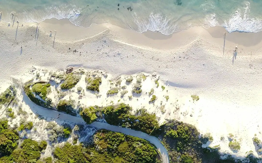 Jahresrückblick: 307 Nachrichten über Lösungen und Fortschritte aus 2025