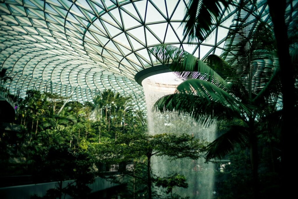 madeline liu singapur airport unsplash