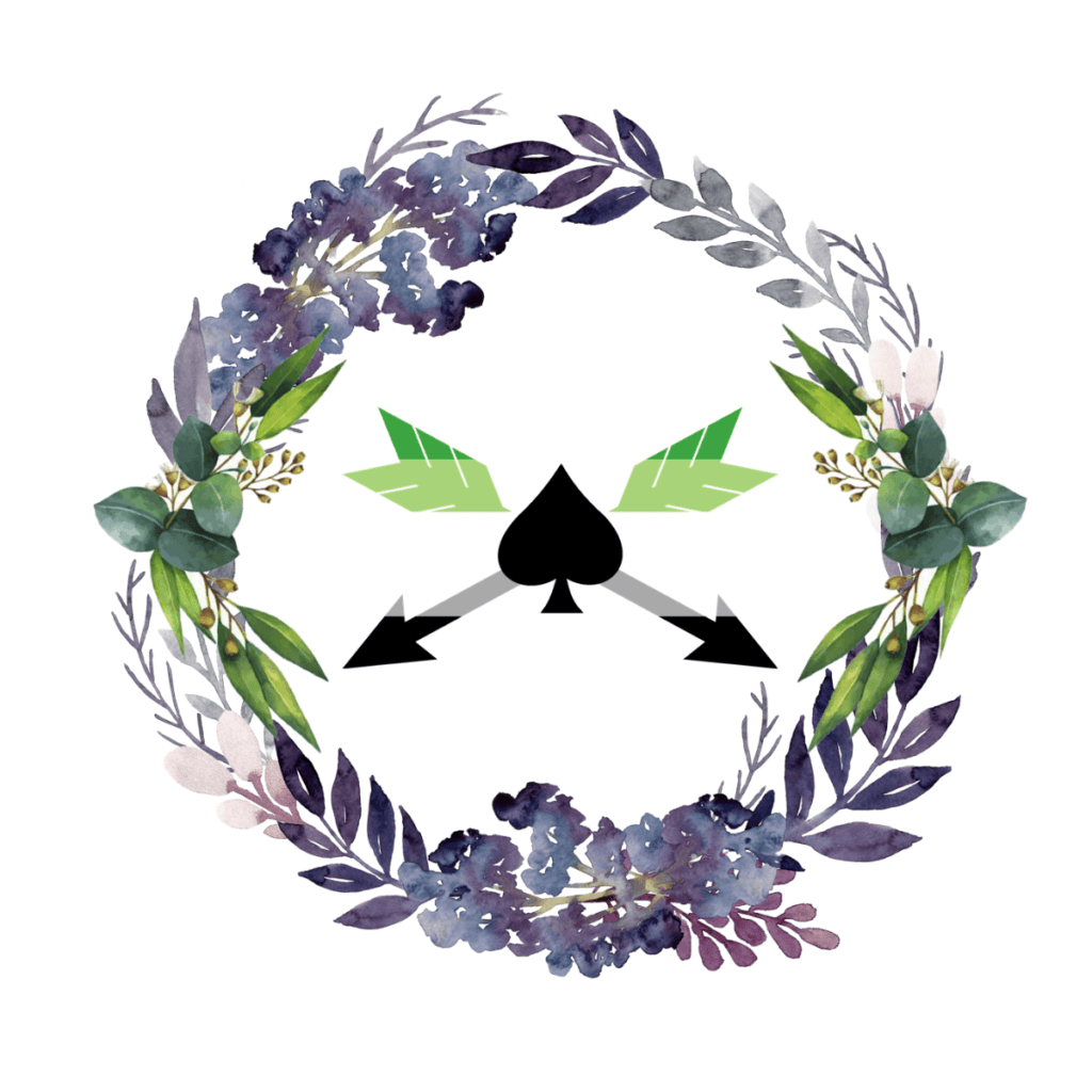 Anni und Katha betreiben mit ace_arovolution Bildungsarbeit zu Aromantik und Asexualität. Ein faszinierendes Gespräch über ihre Erfahrungen, das Erblühen der aromantischen Community und den tiefen Wert aller zwischenmenschlichen Beziehungen.