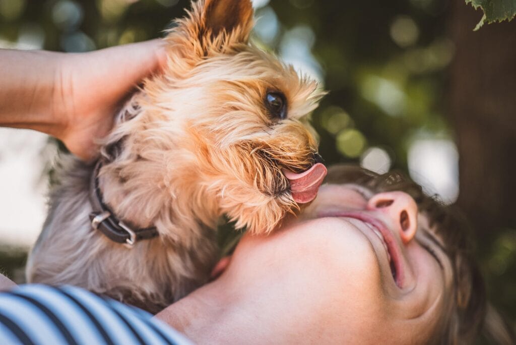 Hund leckt einer lachenden Frau übers Gesicht.