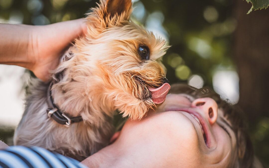 Speichel-Mikrobiom von Hunden beeinflusst die mentale Gesundheit positiv