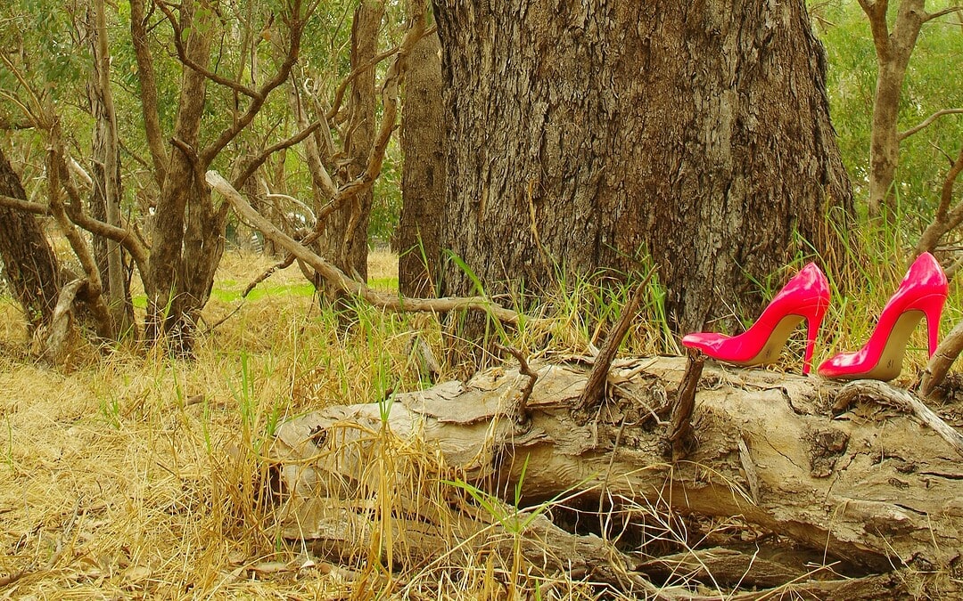 Dragqueen Pattie Gonia erwandert 1 Million Dollar