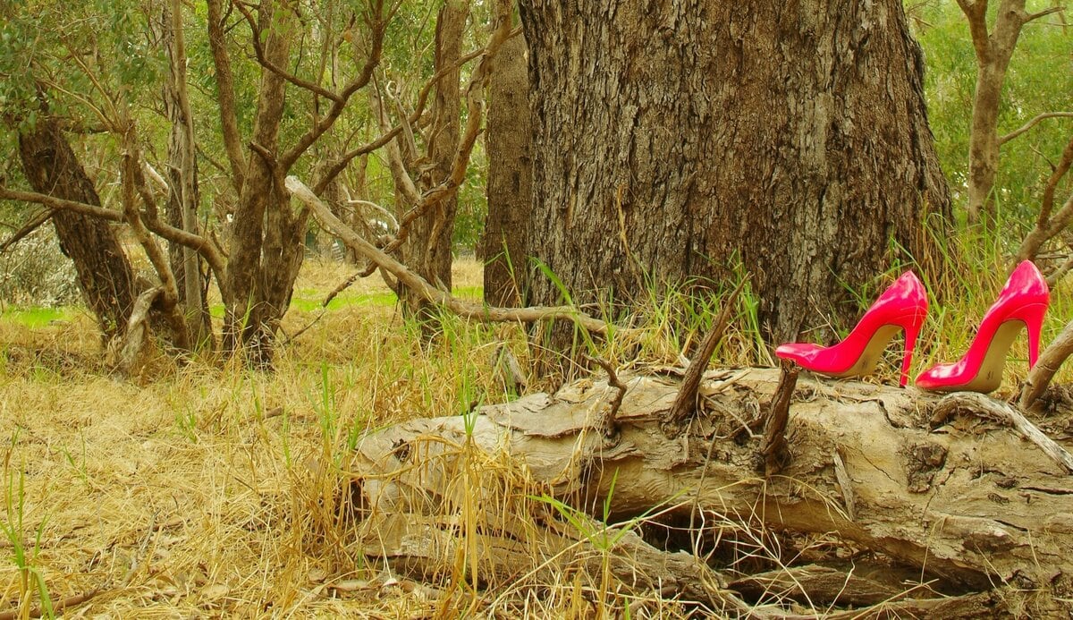 Pattie Gonia ist in Drag-Montur für den guten Zweck gewandert. Foto von pinken Stöckelschuhen im Wald. Credits: https://unsplash.com/de/fotos/ein-paar-rosa-schuhe-die-vor-einem-baum-auf-dem-boden-sitzen-Hnos1GJcXyk