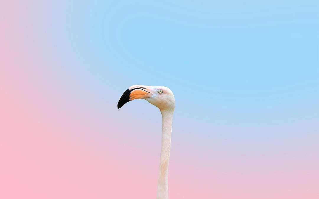 Schönheitsideale im digitalen Zeitalter: Neue Studie zeigt wie Social Media unser Selbstbild prägt