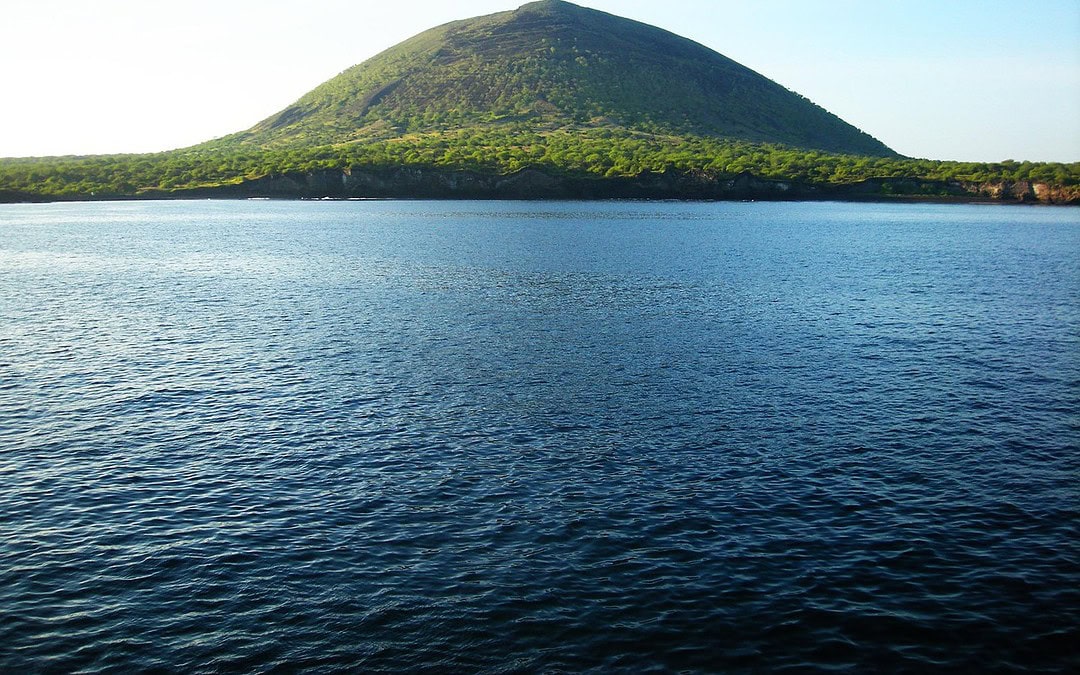 Erste Galapagos-Ralle seit Charles Darwin wieder entdeckt
