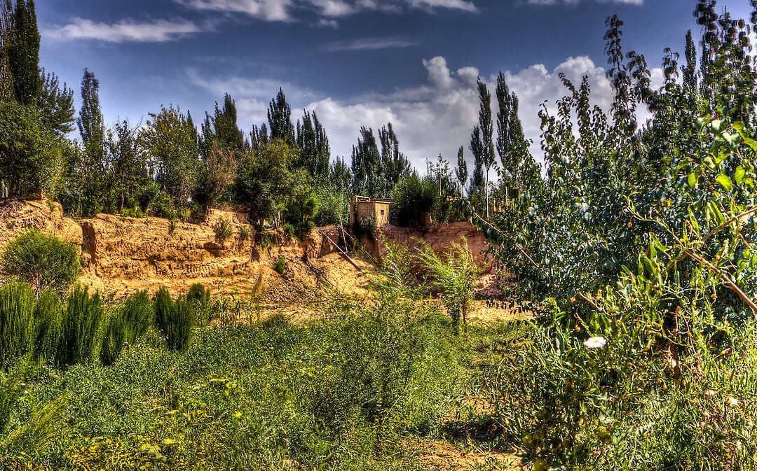 Begrünte Wüste wird CO2-Speicher, positive Bilanz für Vier-Tage-Woche