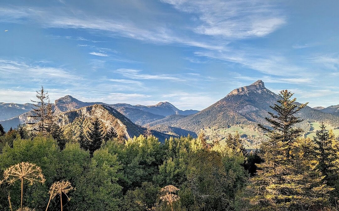 Größtes Auswilderungsprojekt Frankreichs, Prämien gegen Lehrermangel