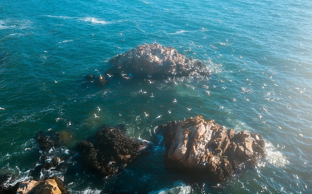 Best of März: Drittgrößtes Meeresschutzgebiet, Sahara-Ränder werden grüner