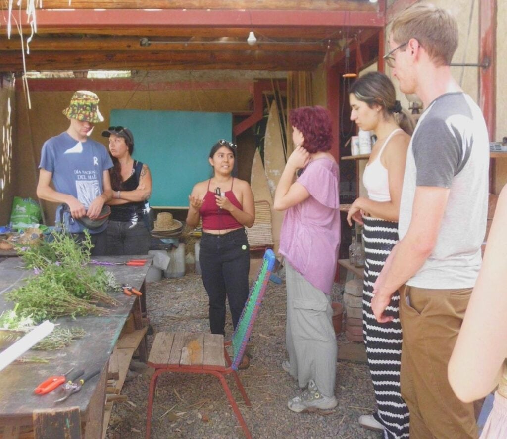 Kraeuterkurs Einfuehrung 1