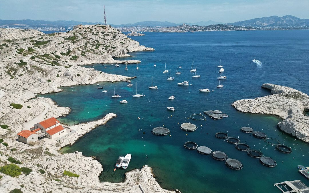 Roboter entfernen Meeresmüll, KI-Tool erkennt häusliche Gewalt