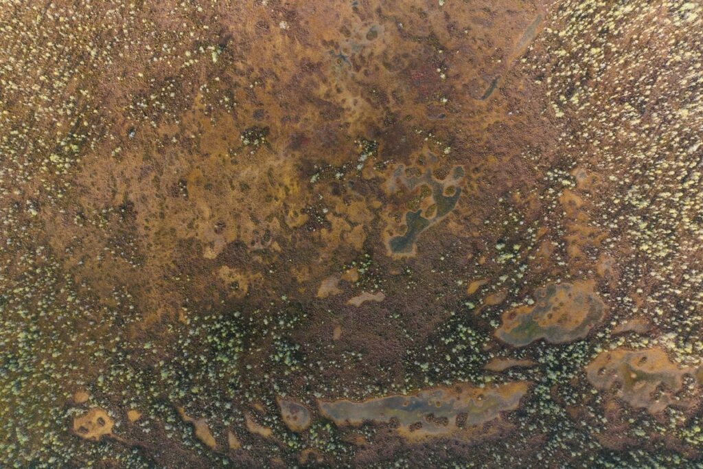 Wueste Vegetation Luftaufnahme