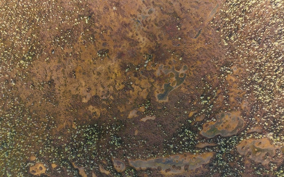 Ränder der Sahara werden grüner, Lösung für globales Müllproblem