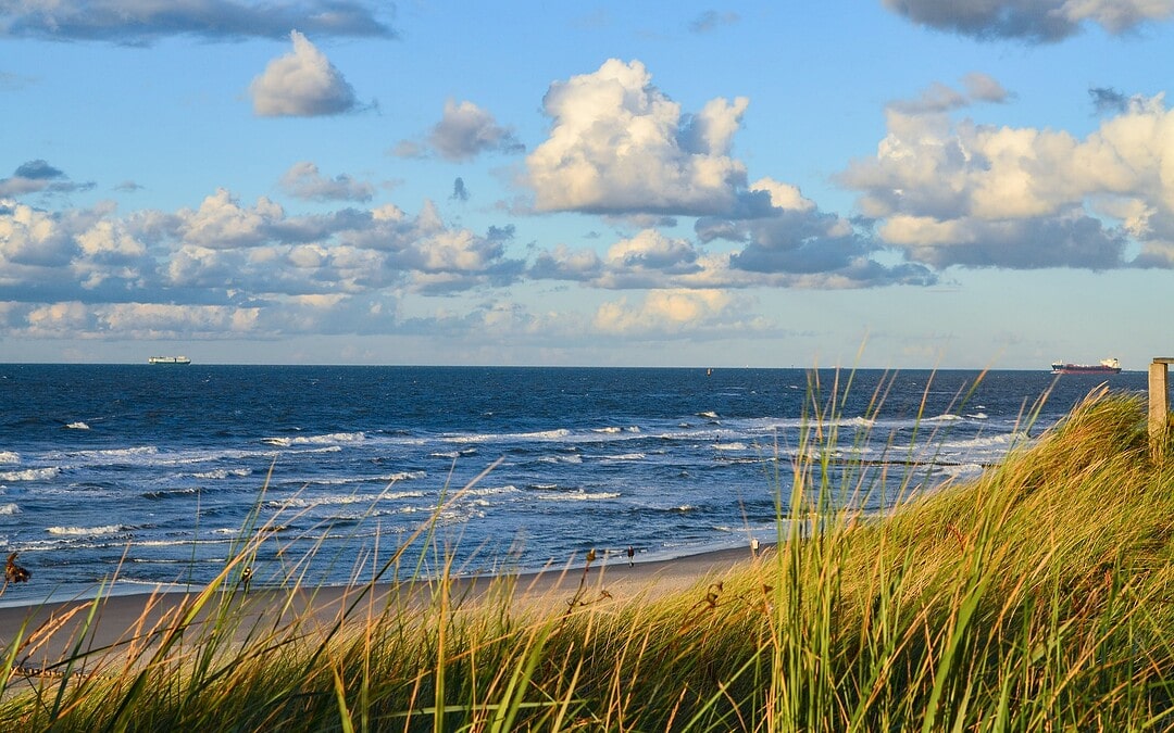 Verschmutzung in Nord- und Ostsee geht zurück?