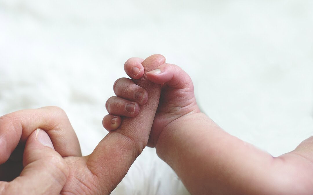 Ein neues Leben – dank einer gespendeten Gebärmutter