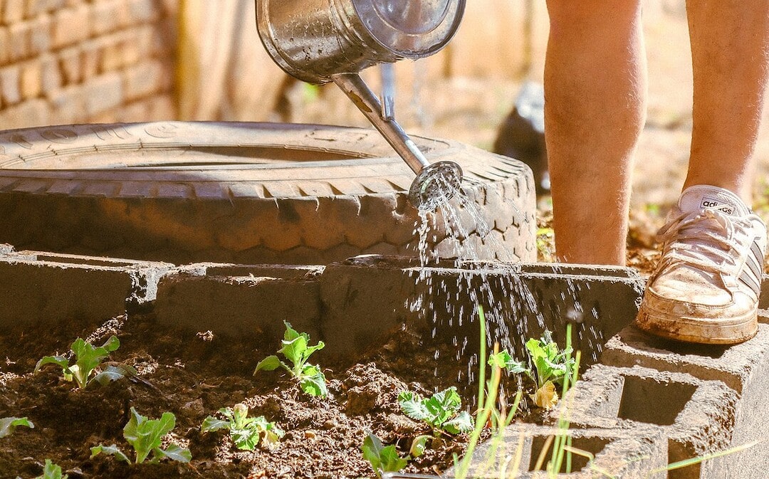 Deutschland pflastert ab, Gemüseernte auf Rekordhoch