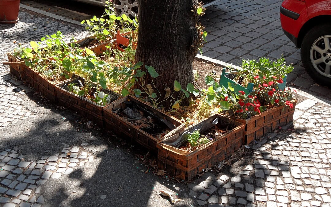 Gartenheld:innen des Alltags