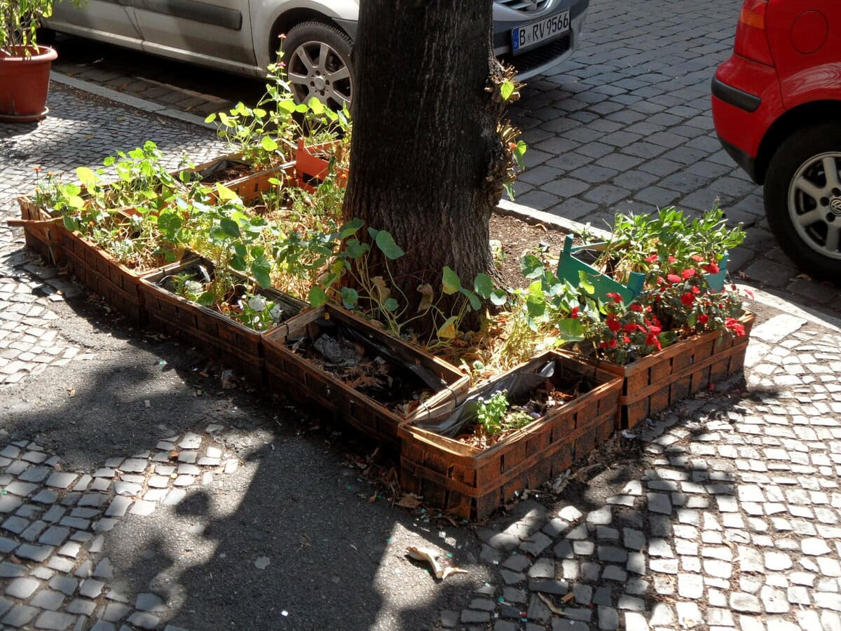 Von Urban Gardening zu interkulturellen Gärten und Gartenschau für den Kiez: Wir stellen euch Gartenprojekte vor, die begeistern – und zeigen, dass es fast überall möglich ist, den Garten zu uns zu holen.