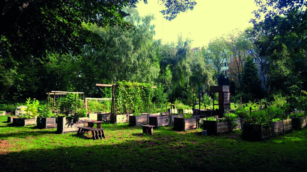 Blumen und Friedhöfe, dass das irgendwie passt, werden die meisten von uns noch nachvollziehen können. Aber den Friedhof als Garten zu sehen? Eröffnet völlig neue Möglichkeiten! Von Parkfriedhöfen zu Gemeinschaftsgärten auf Friedhofsflächen: Was es alles gibt und warum es funktioniert.