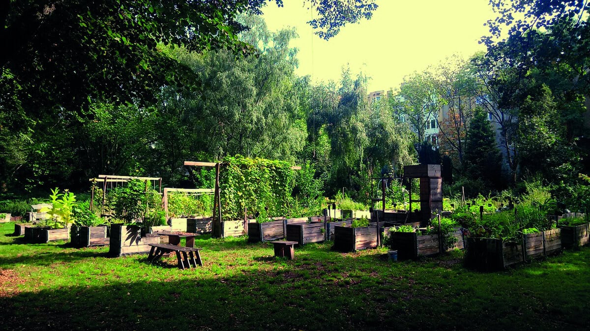 Blumen und Friedhöfe, dass das irgendwie passt, werden die meisten von uns noch nachvollziehen können. Aber den Friedhof als Garten zu sehen? Eröffnet völlig neue Möglichkeiten! Von Parkfriedhöfen zu Gemeinschaftsgärten auf Friedhofsflächen: Was es alles gibt und warum es funktioniert.