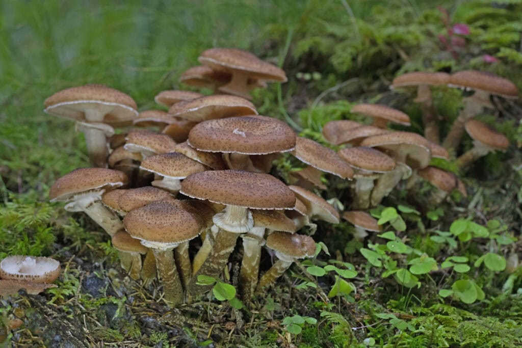 Depositphotos 747028988 XL