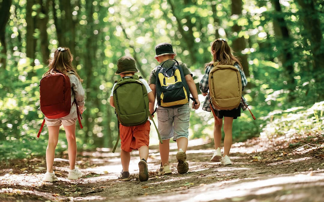 Raus ins Grün: Wie Waldkindergärten boomen