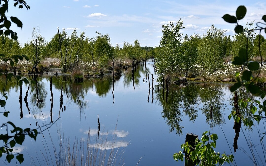 „Trendwende“ beim Moorschutz, Berlin beschränkt befristetes Wohnen