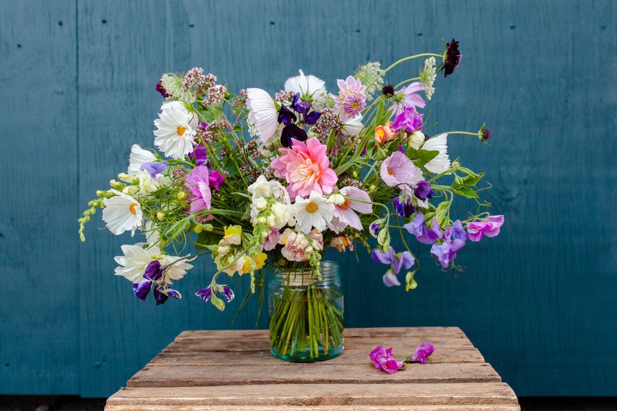 Chantal Remmert ist Mitgründerin der Slowflower-Bewegung in Deutschland. Sie selbst baut ihre Schnittblumen nachhaltig, regional und saisonal an – und ist damit inzwischen bei weitem nicht mehr allein auf weiter Flur. Im Interview erklärt sie, warum wir bei Schnittblumen Wert auf Nachhaltigkeit legen sollten und warum es vielleicht einfacher ist, als gedacht.