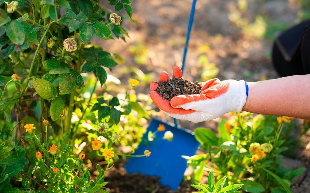 Gartenarbeit als Therapie