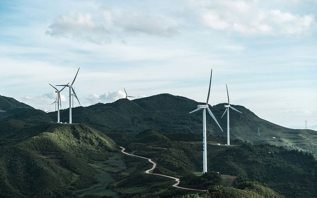 Globaler Rekord für grünen Strom, 27 Millionen neue Bäume in Hessen