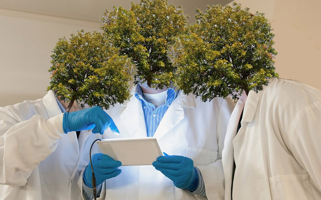 Wird 2026 das Jahr sein, in dem wir die “Sprache der Pflanzen” verstehen?