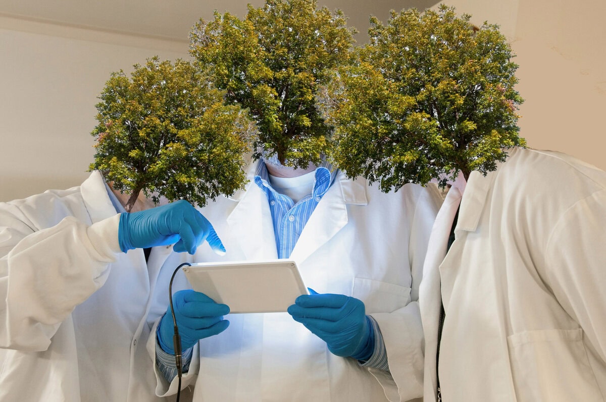 Sprache der Pflanzen