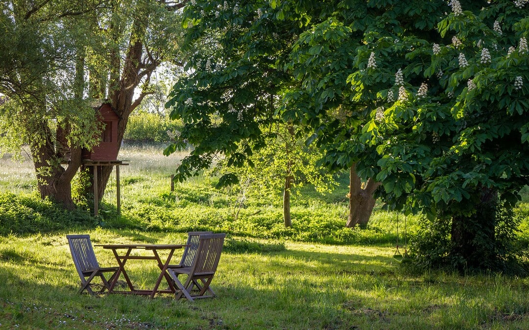 Vorwort Print 14: Alles im grünen Bereich
