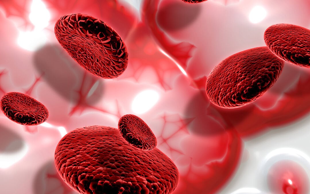 Blutplasma für alle: Warum dieser Durchbruch so viel verändern könnte